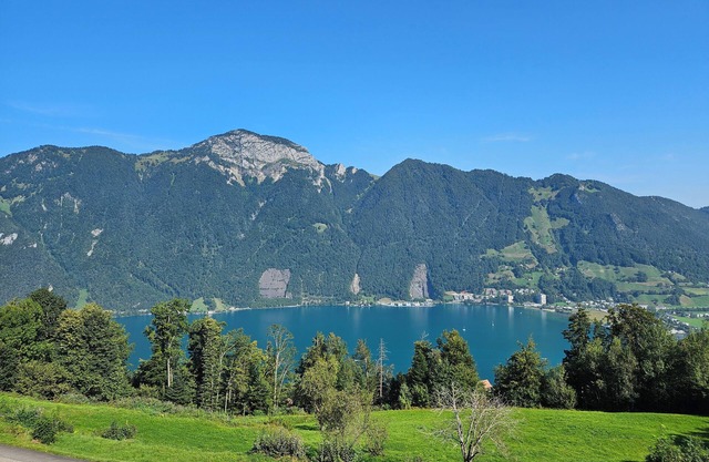 Apartment Edelweiss – stunning lake & mountain view, peaceful, sunny, terrasse