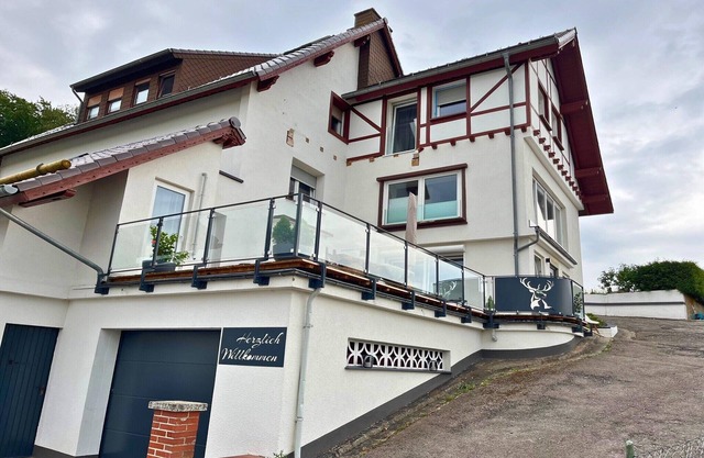 Apartment Eifelglück with roof terrace