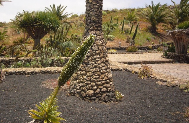 Apartment El Peral in 'Casa Rural Los Perales' with Sea Views, Shared Terrace and Wi-Fi