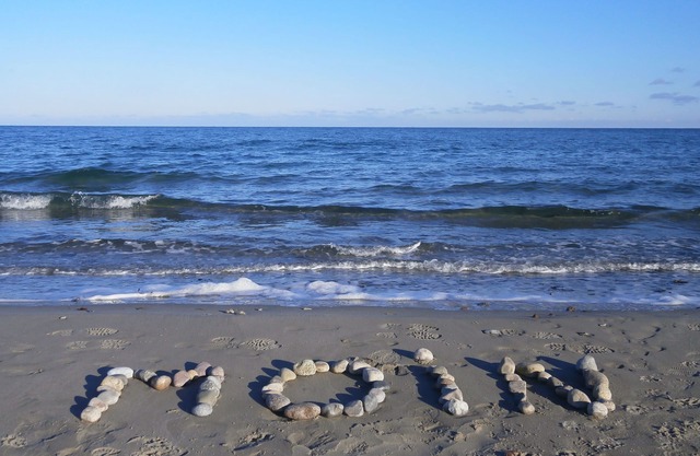 Apartment field view between the Baltic Sea and Schlei with winter garden