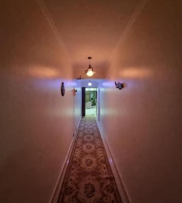 Apartment for Rent in Degla Maadi