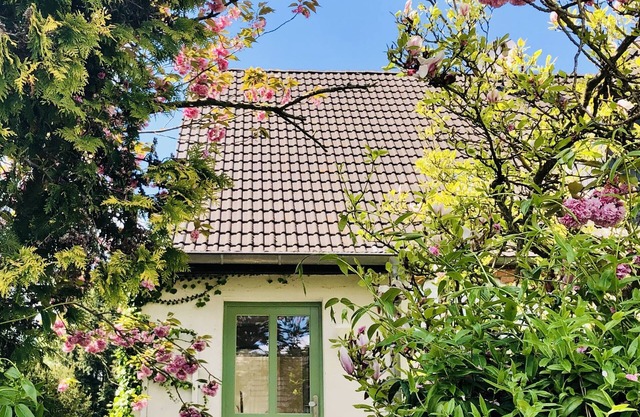 Apartment 'Fräulein Tulpenboom' modern, ecological, quiet and close to the city with wallbox