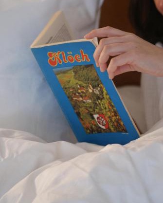 Apartment im Wein- und Freizeitidyll Klöch