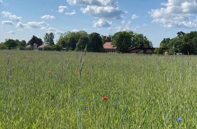 Apartment in converted stable barn with own garden near the lake, south facing. Uckermark