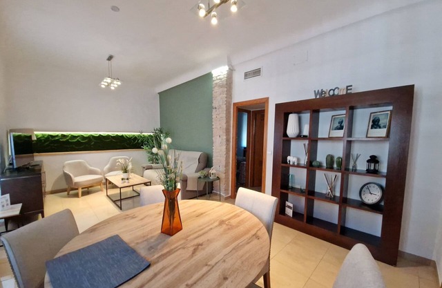 APARTMENT IN CORDOBA ROMAN BRIDGE