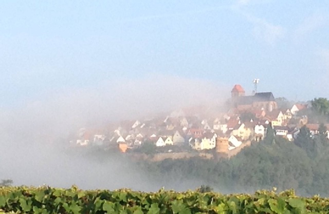 Apartment in fantastic location with view to the wineyards and the forrest