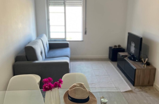 Apartment in Lagoa de Santo André. Between the Atlantic and the Alentejo plain.