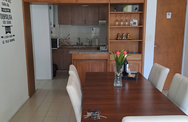 Apartment in Mendoza City - In front of the Park with Terrace and Views