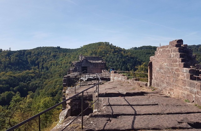Apartment in the idyllic setting of the biosphere reserve Palatinate Forest