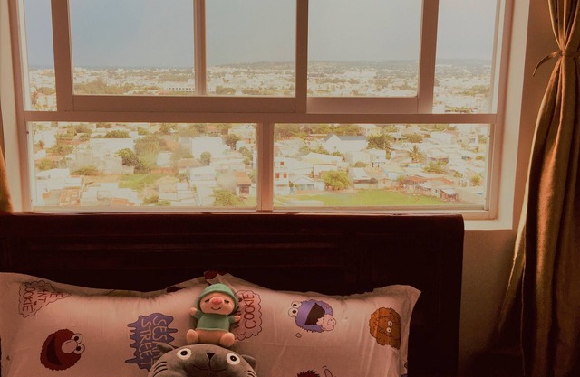 Apartment in the city center