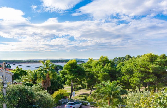 Apartment Ivanka (66801-A1) - Banjol - island Rab