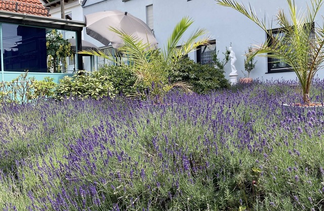 Apartment mit Duschbad, Wintergarten und Terrasse im Schönen Taunus, Ruhige Lage