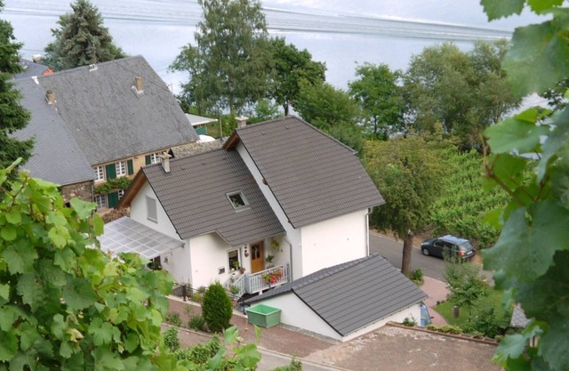 Apartment Moselblick Piesport Ferres is located directly on the banks of the Moselle River