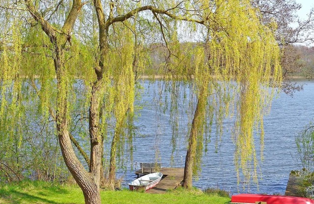 Apartment MOST 2341 - Apartment on the High Sprenzer Lake MOST 2341