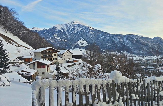 Apartment near Pizol