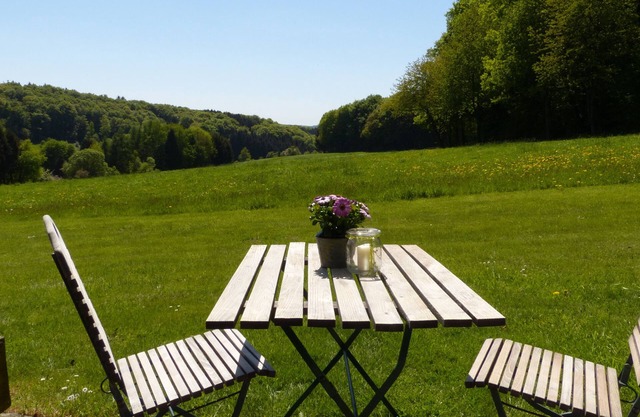 Apartment on the edge of the forest