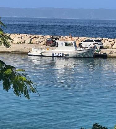 Apartment Porat Drašnice