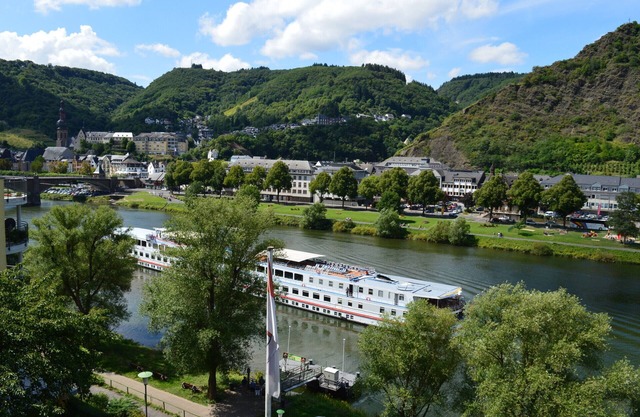 Apartment Riesling with Moselle view