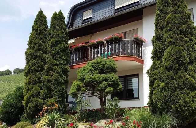 Apartment Saarblick - Apartment