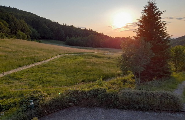 Apartment 'Schwarzwald Pur' with Mountain View, Shared Terrace and Wi-Fi