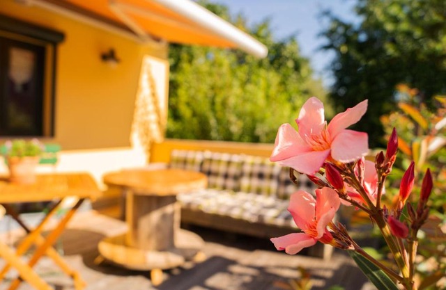 Apartment Sonnenschein