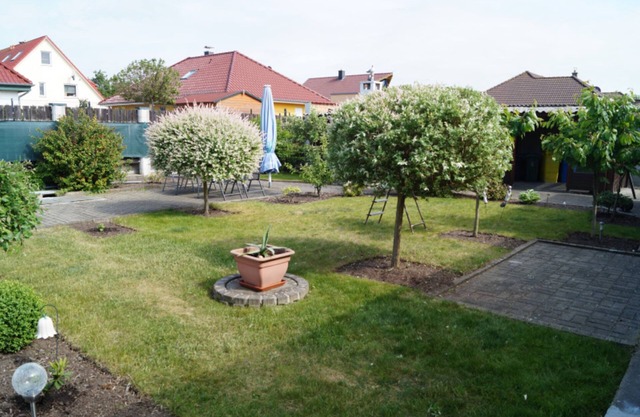 Apartment Starfish - Apartment starfish