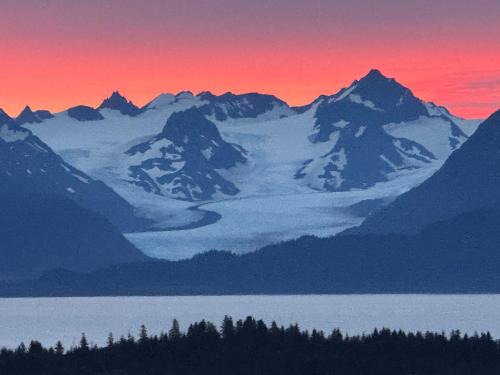 Apartment, walkout basement, Central Homer, Views!