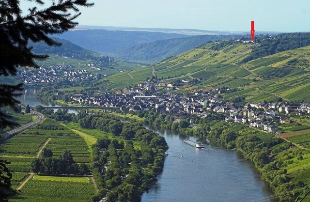 Apartment with garden and view of the Mosel