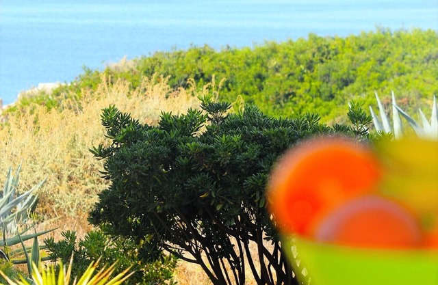 Apartment with sea views and pool near the beach