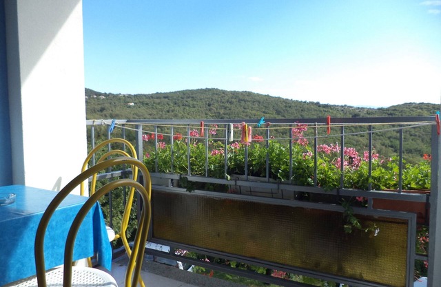 Apartments Anđela (43241-A3) - Brseč