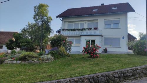 Apartments with parking space Slunj, Plitvice - 22111