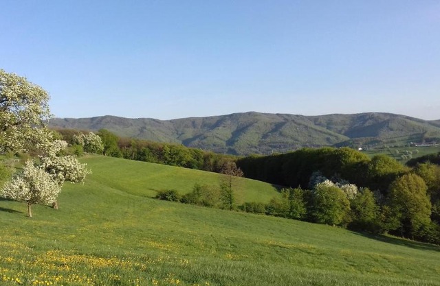 Appartement am Archehof Windbichl