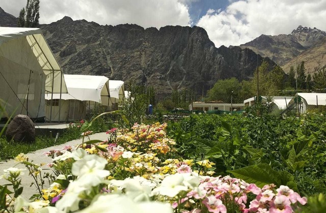 Apple Cottage Nubra - Glamping