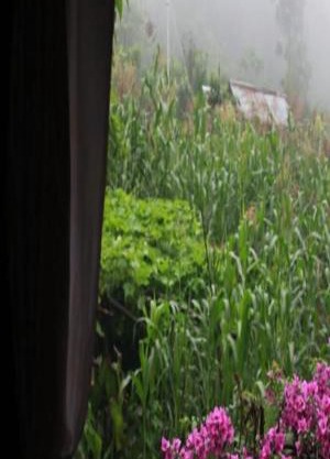 Aranya Baas By StayApart