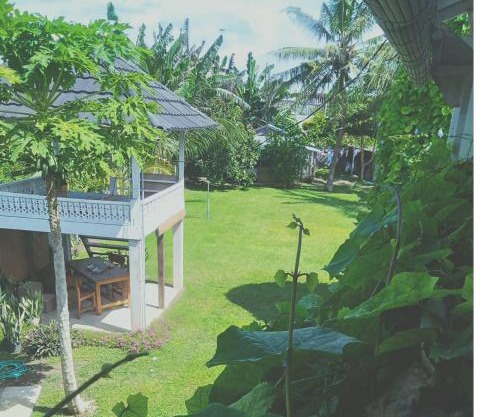 Arista Lakey Peak House