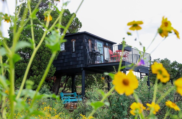 Ashley's TreeHouse at El Mistico Ranch