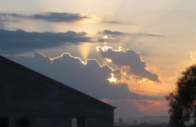 Astoria Park Cottage - 500 acres sheep, kangaroos, walabies, birdlife, views.