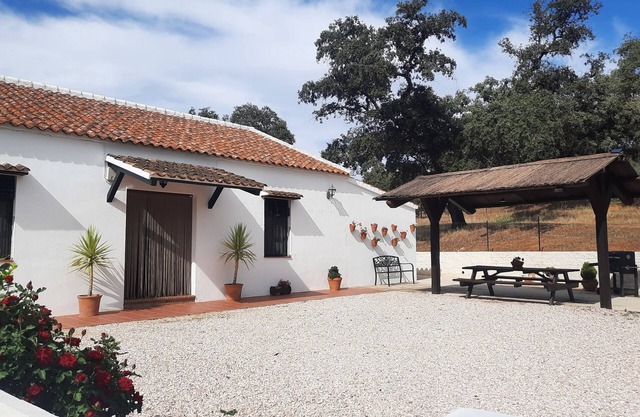 At Casa Rural La Dehesilla you can enjoy nature in its purest form.