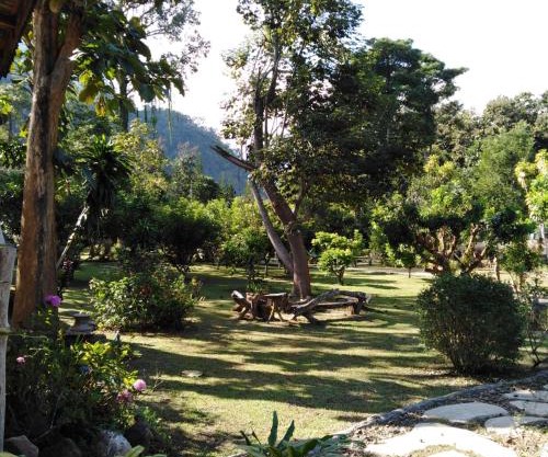 At Home Chiang Dao, Pooch Lovers