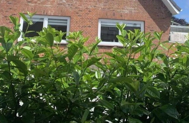 At Paulsen's Modern Retreat