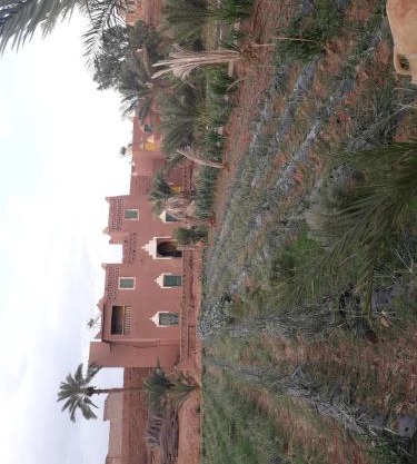 Auberge jnane dar diafa se trouve au centre de tamegrouteface de la bibiotheque