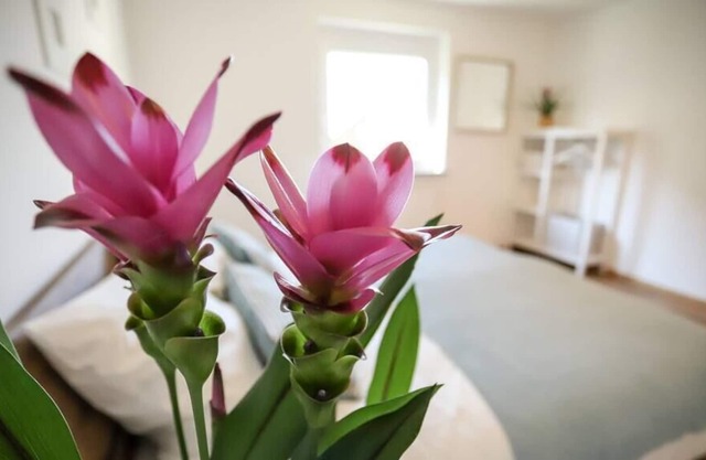 ☆ AUGSBURG'S BIGGEST | 4 Bedrooms|Parking|Kitchen