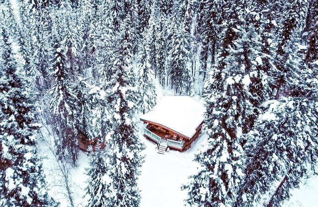 Aurora View Log Cabin – Authentic Alaskan Experience