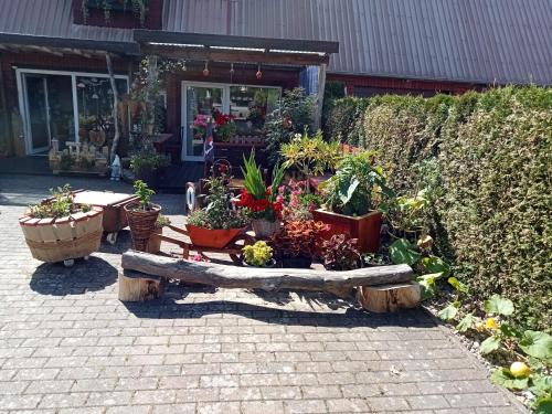 Auszeit-Schoenenwalde