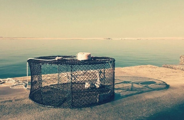 Authentic fisherman's house in a peacefull village.Between mountain and the sea.