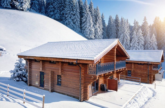 Authentic log house near top ski resort