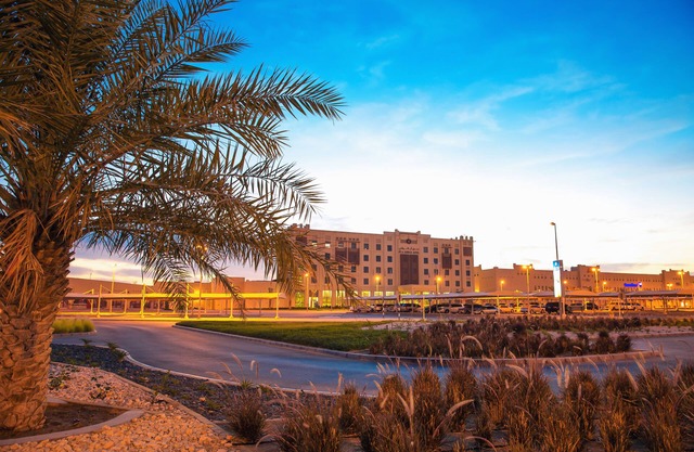 Ayla Bawadi Hotel & Mall