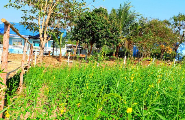 Baan Fa La Mai Resort