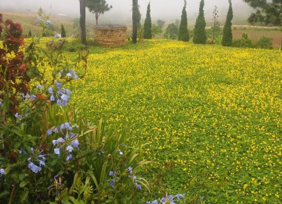 Baan Ing Phu บ้านอิงภู