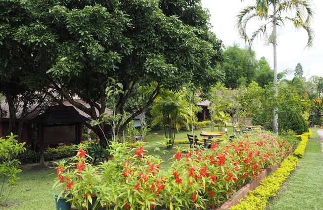 Ban Rai Tin Thai Ngarm Eco Lodge